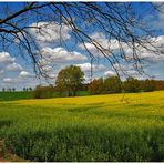 Frühling kommt ins Land