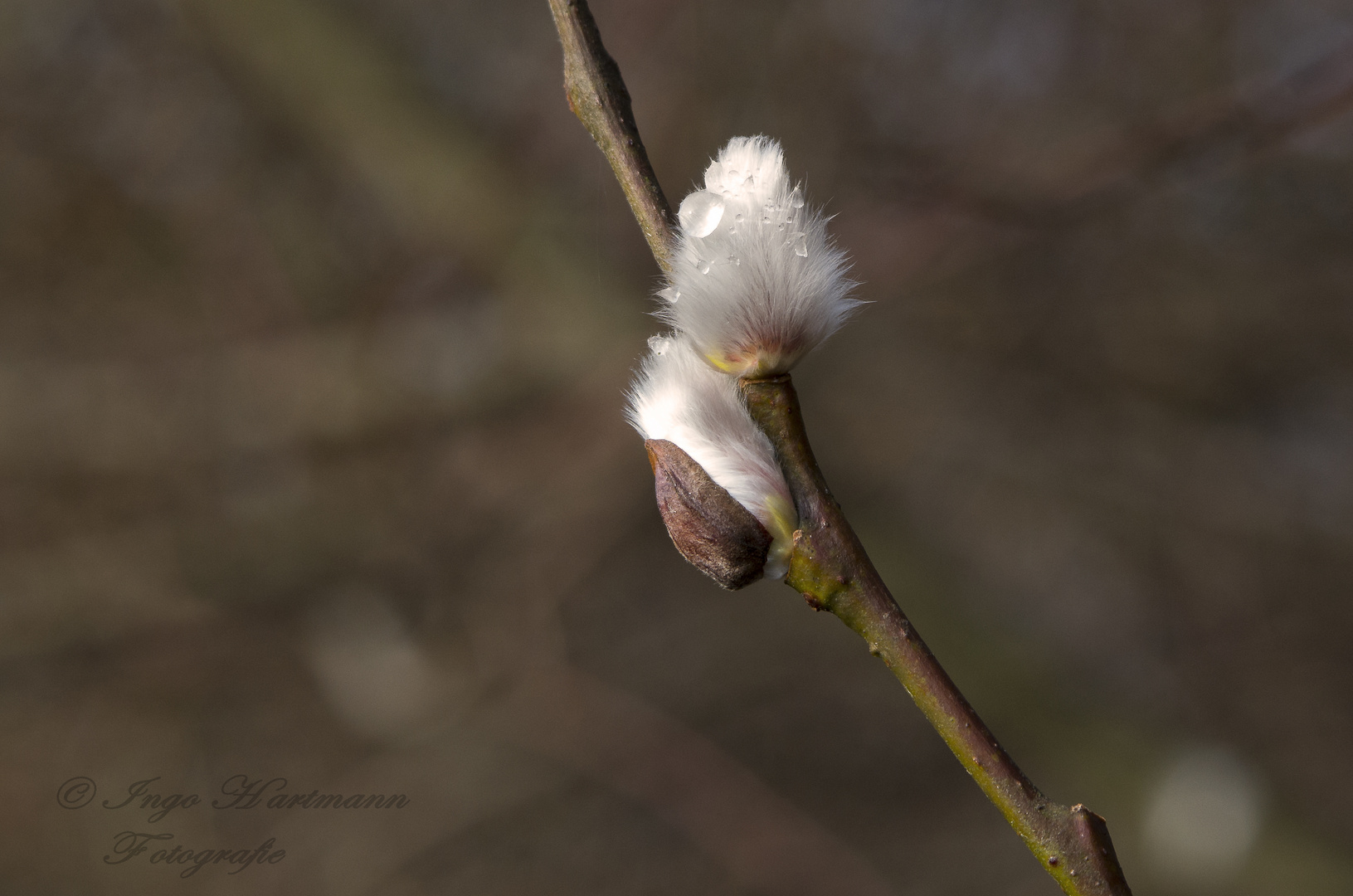 Frühling kommt mit großen Schritten