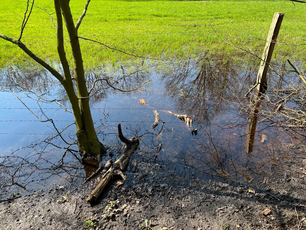 Frühling kommt und geht