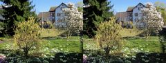 Frühling - Kreuzblick - Stereos