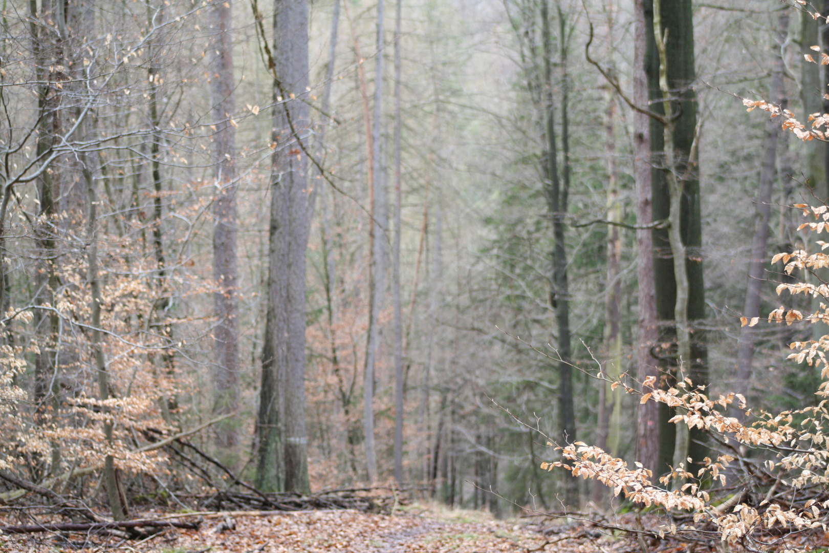 Frühling lässt auf sich warten