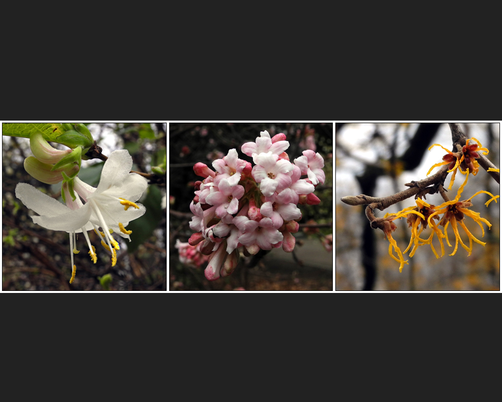 Frühling lässt ein laues Band . . .