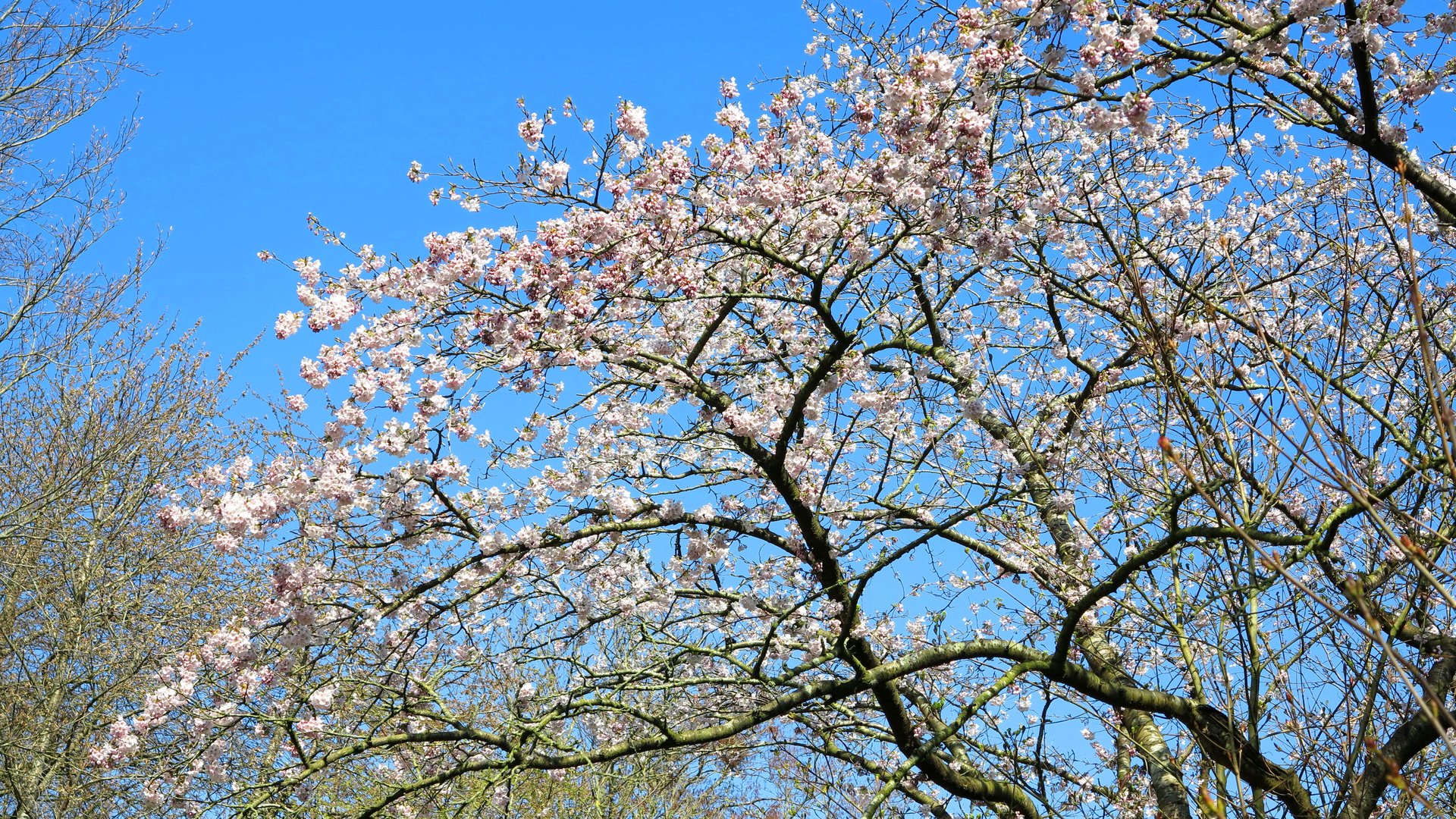 Frühling lässt grüßen...