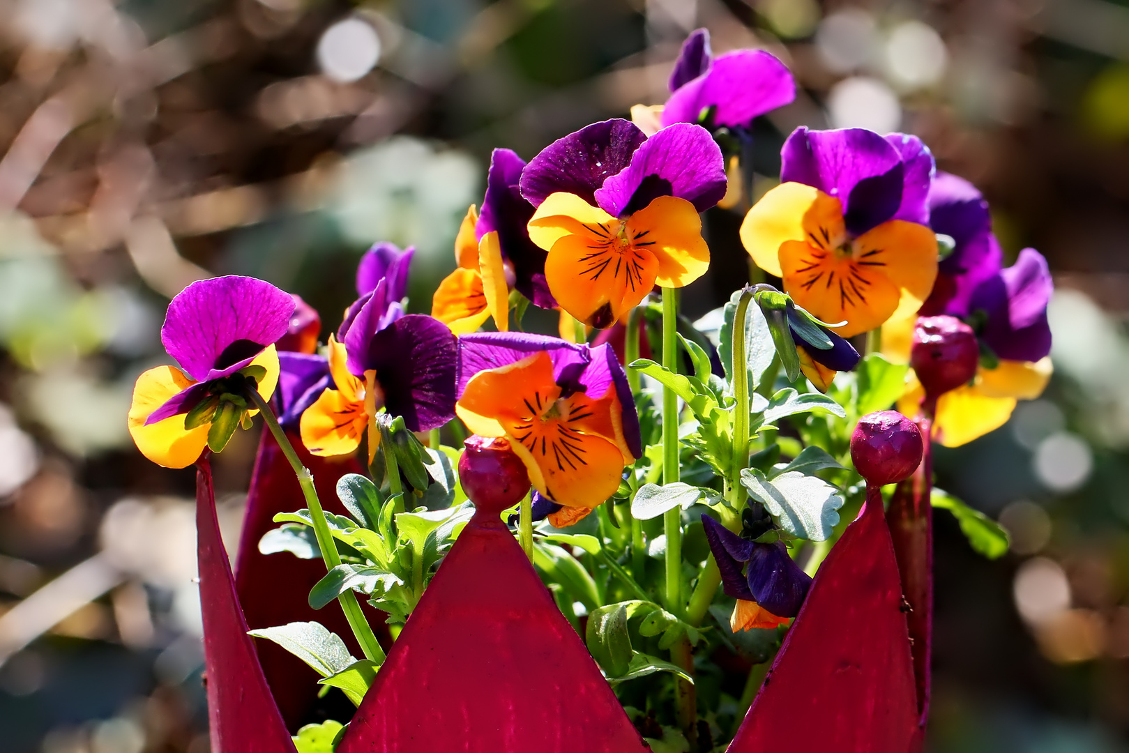 Frühling lässt grüßen