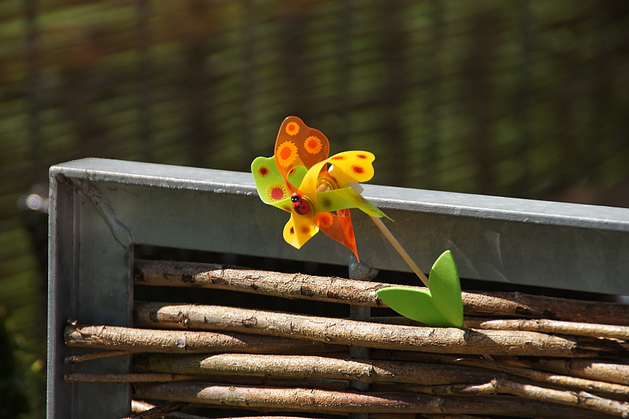 Frühling lässt grüßen