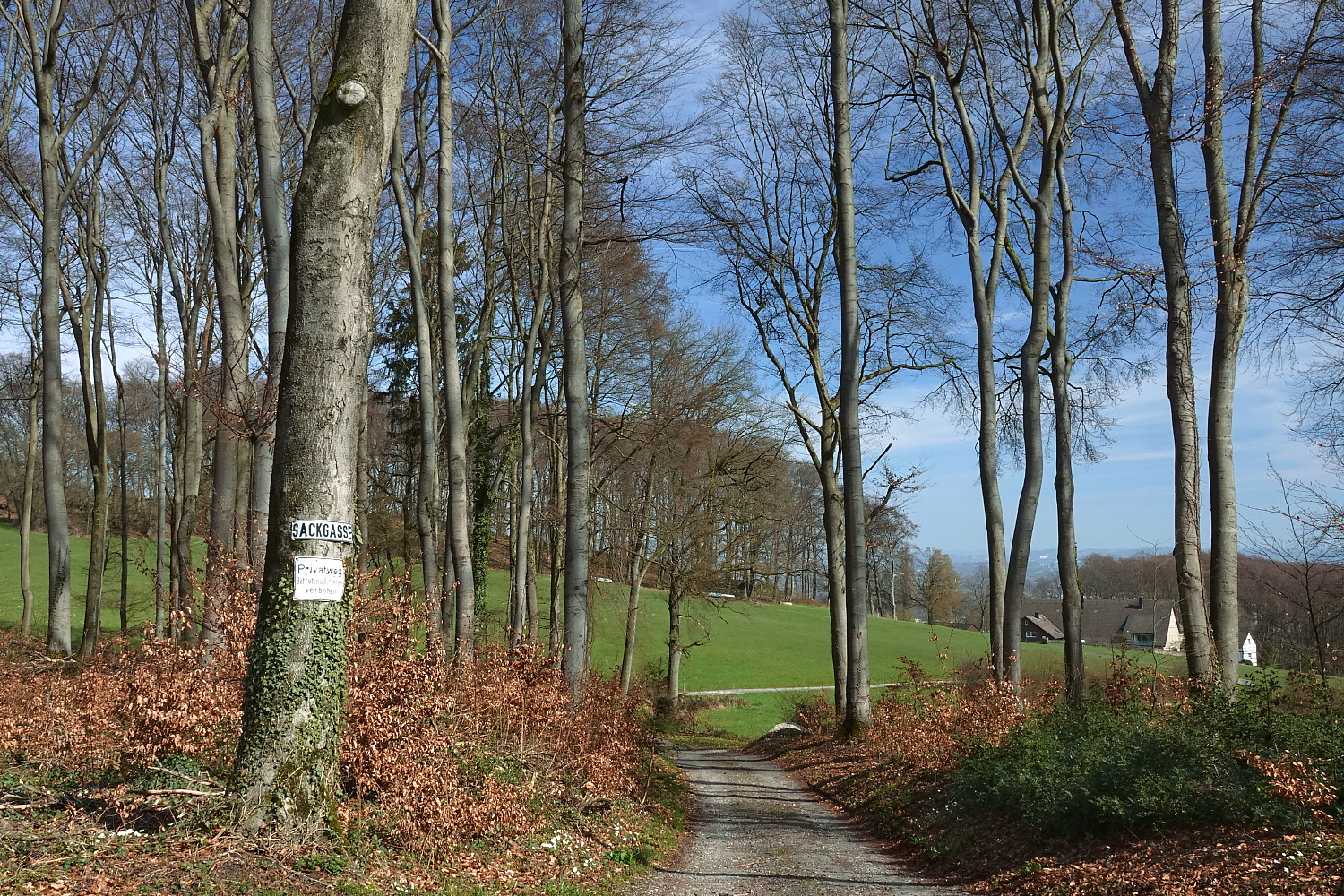 Frühling lässt sein blaues Band