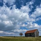 Frühling lässt sein blaues Band…