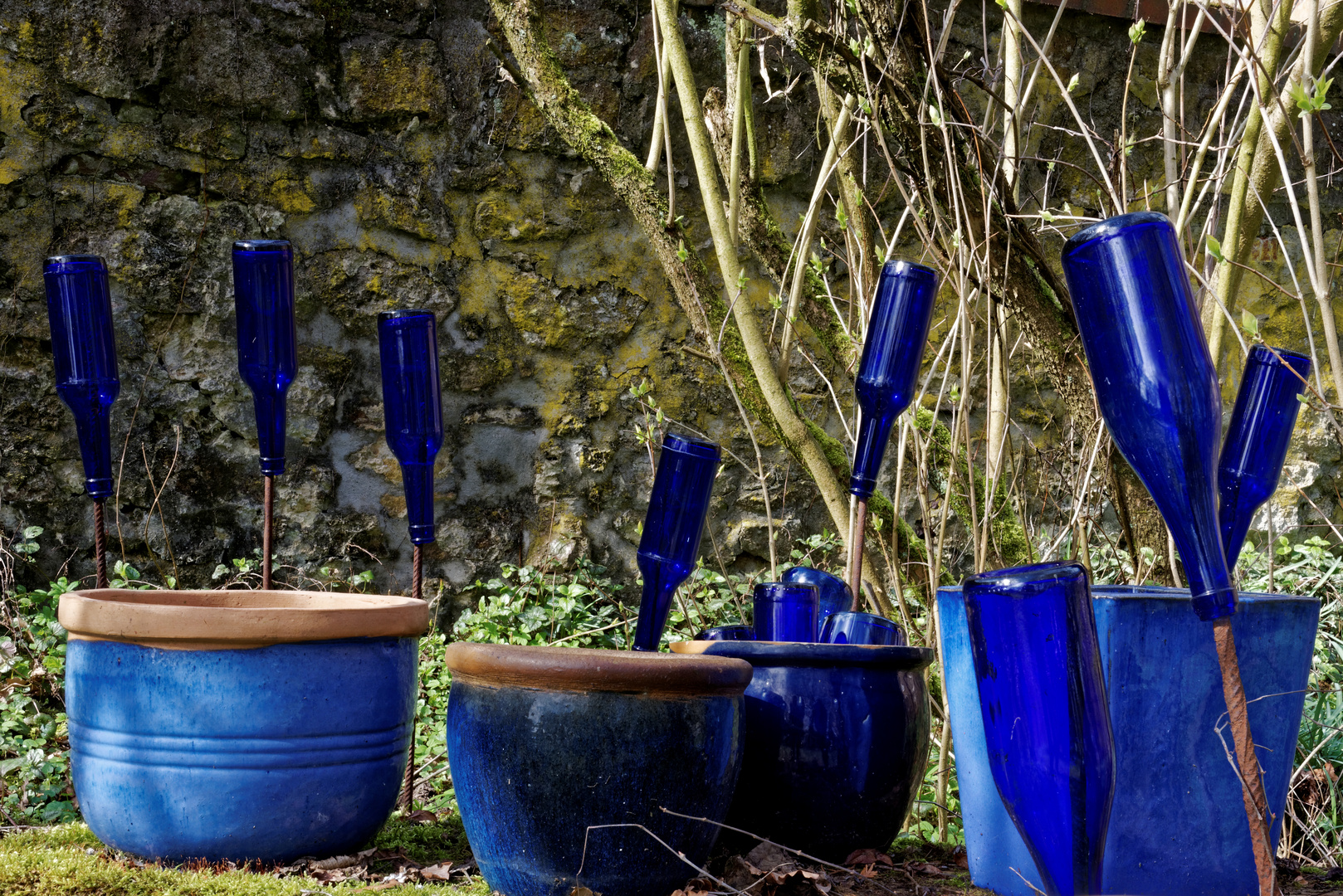 Frühling lässt sein blaues Band