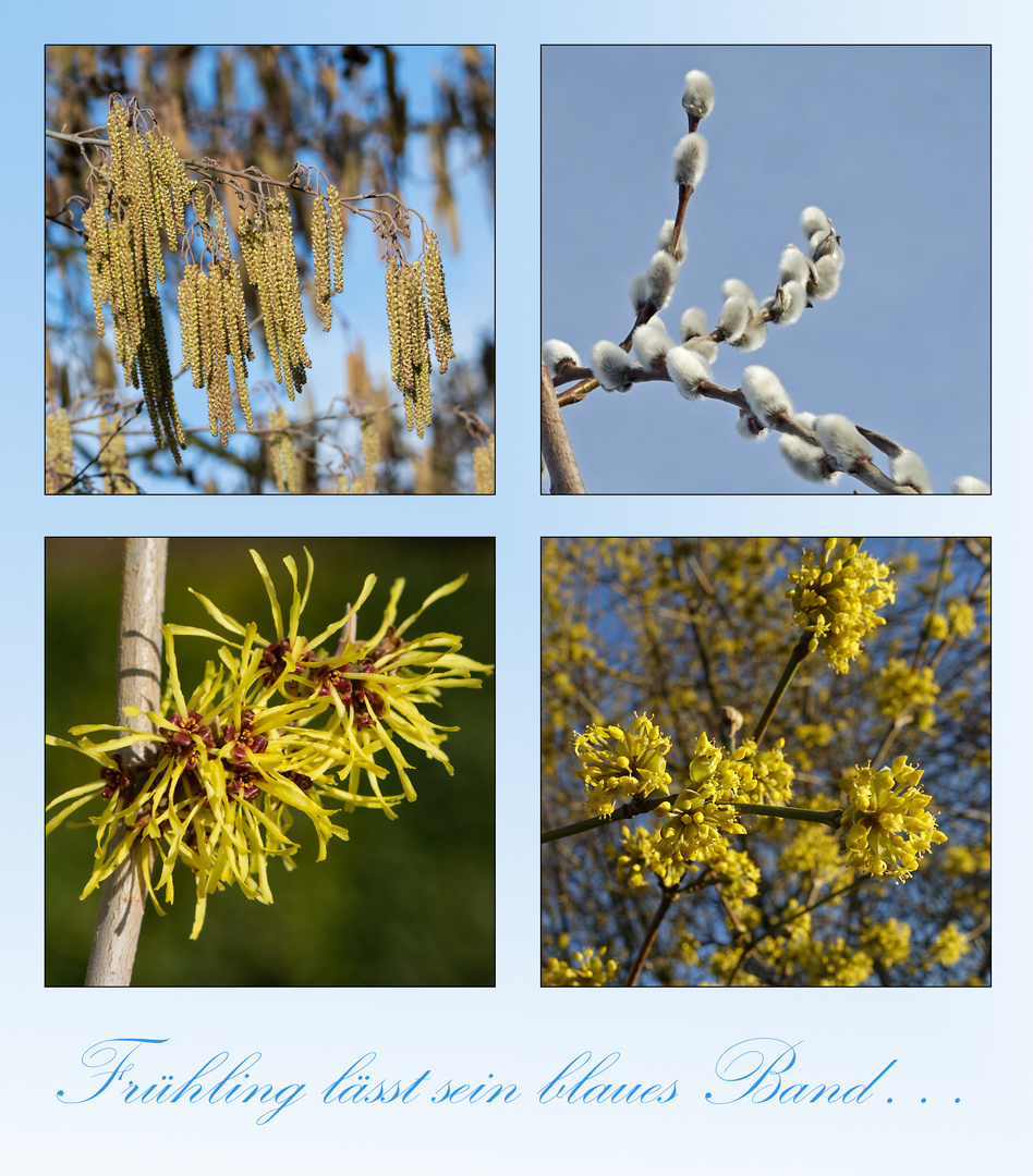 "Frühling lässt sein blaues Band . . .