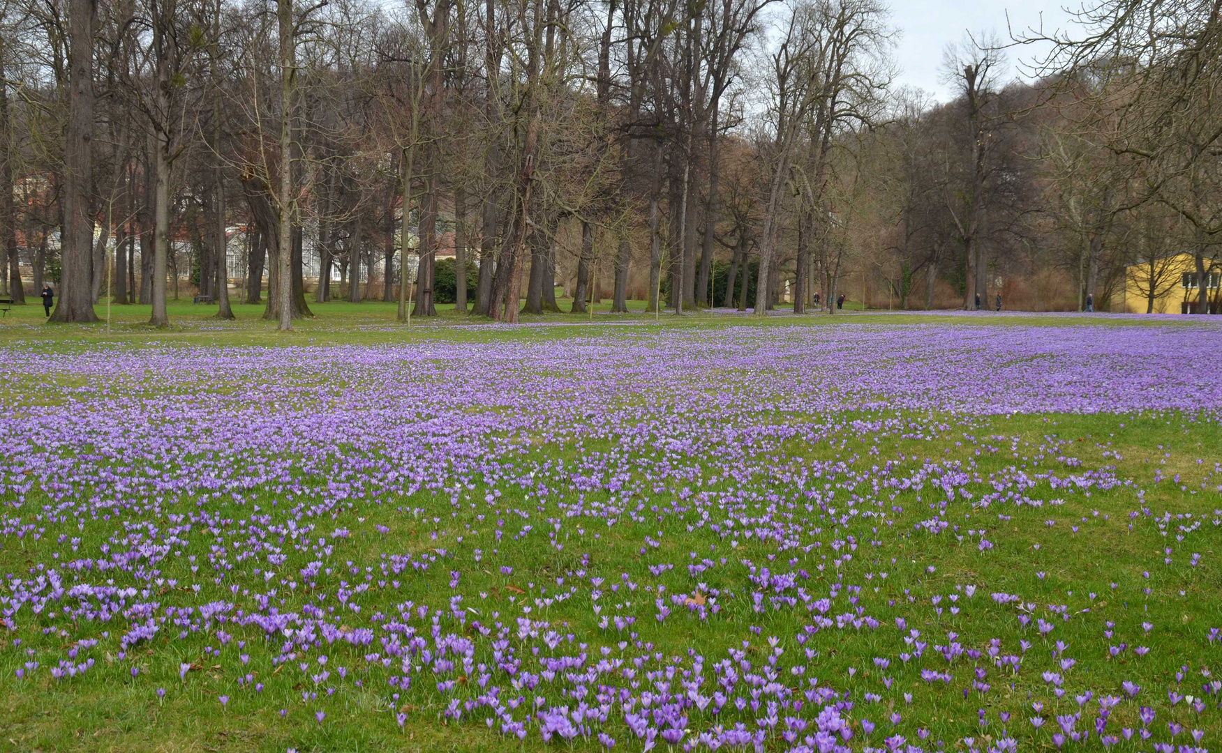 Frühling lässt sein blaues Band.....