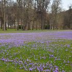 Frühling lässt sein blaues Band.....