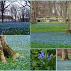 Frühling lässt sein blaues Band....