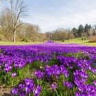 Frühling läßt sein blaues Band.....