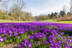 Frühling läßt sein blaues Band.....