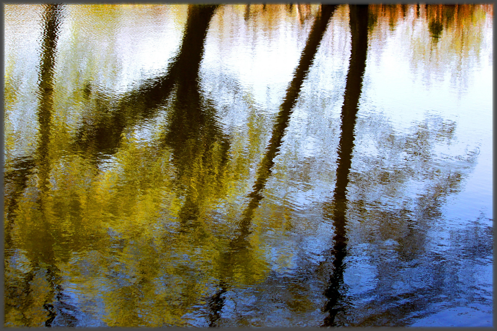 Frühling lässt sein blaues Band.....