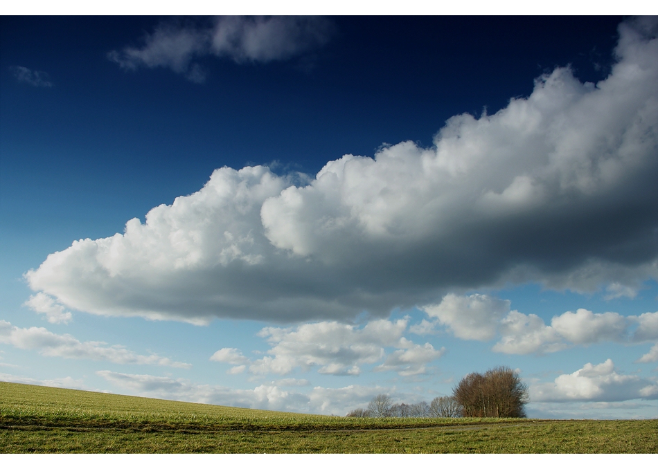 Frühling läßt sein blaues Band ...