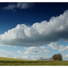 Frühling läßt sein blaues Band ...