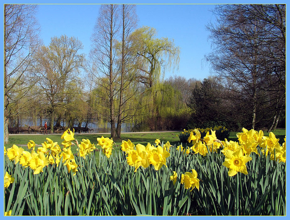 Frühling lässt sein blaues Band