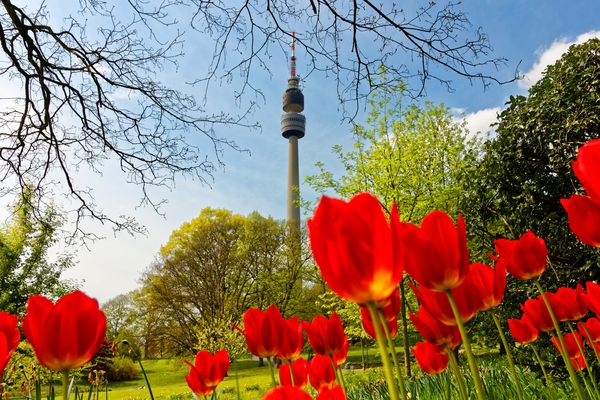 "Frühling lässt sein blaues Band...