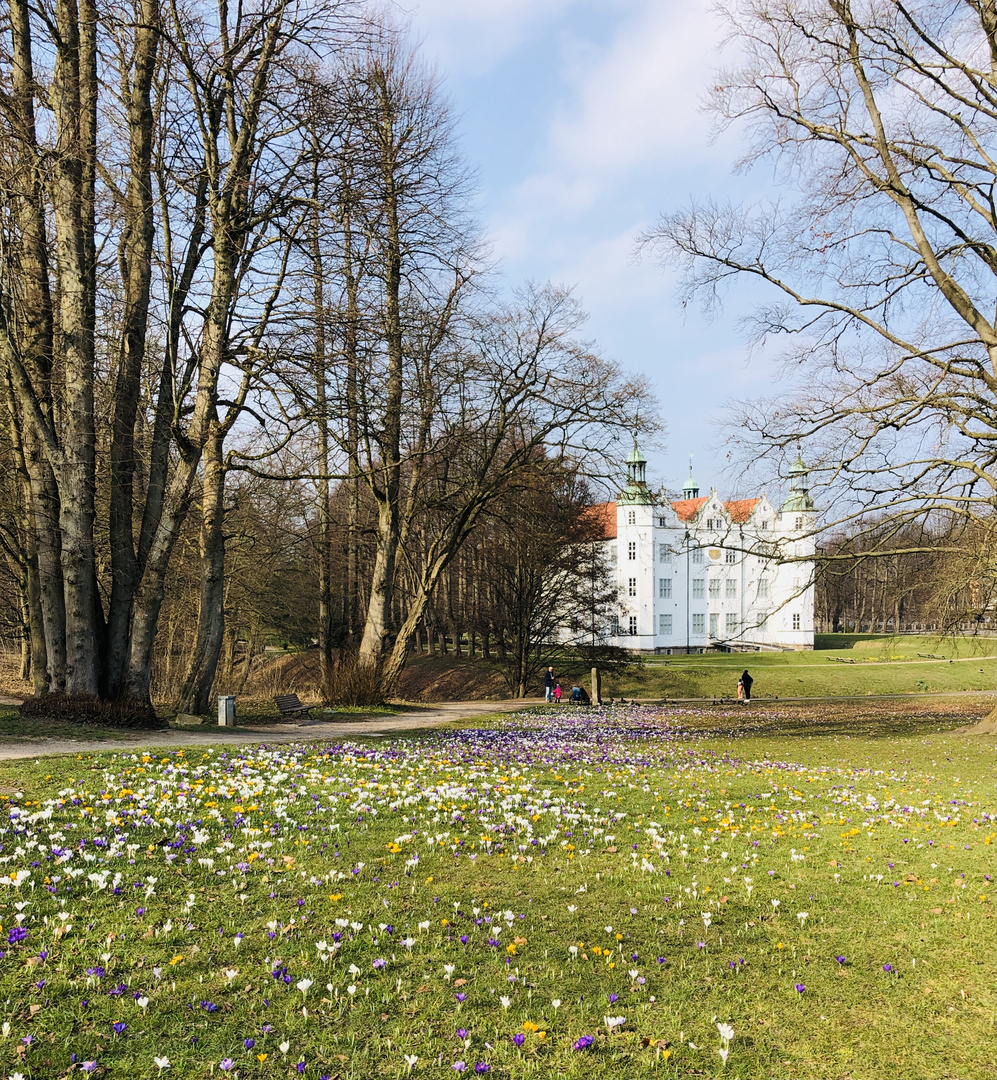 FRÜHLING läßt sein buntes Band.....