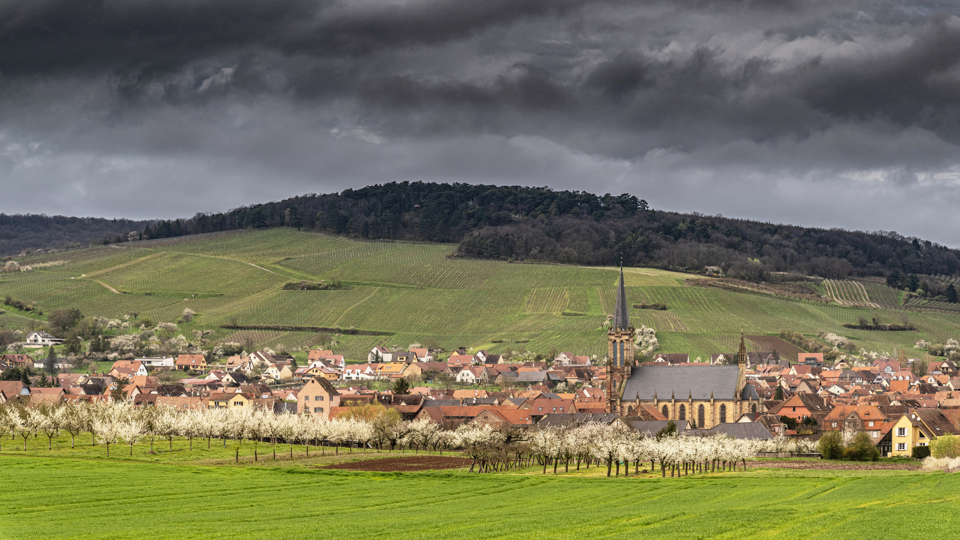 Frühling lässt sein graues Band ...