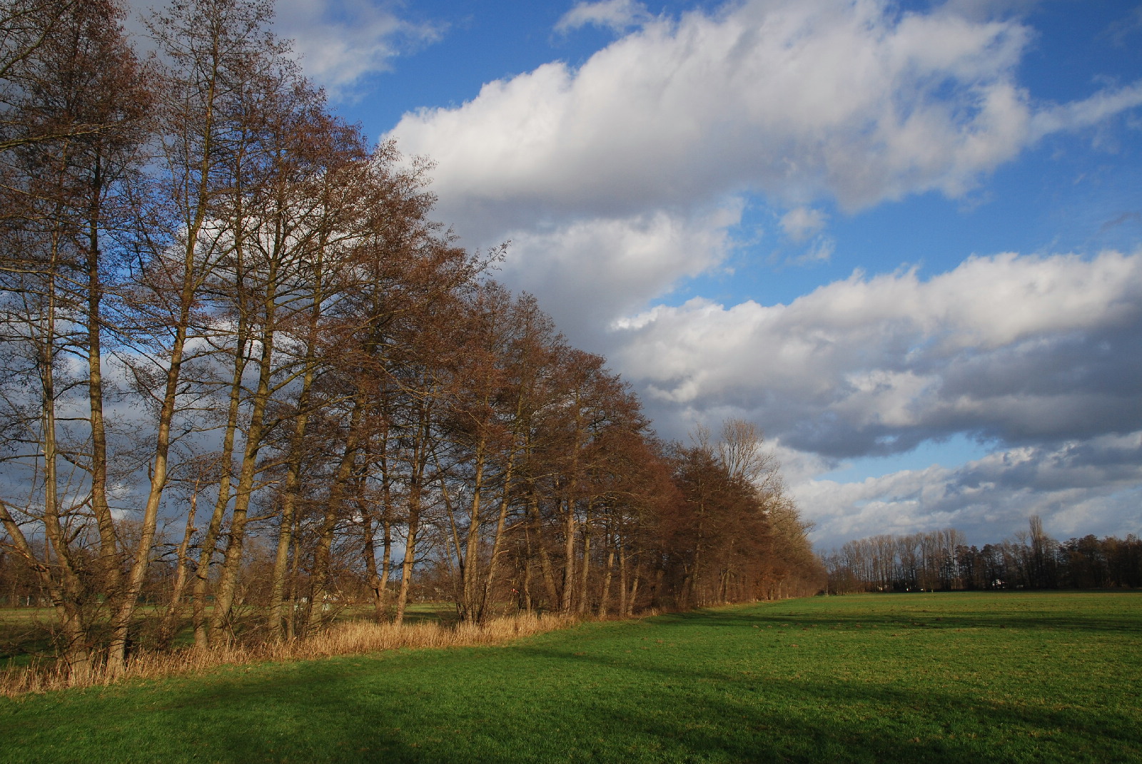 Frühling läst sein blaues Band