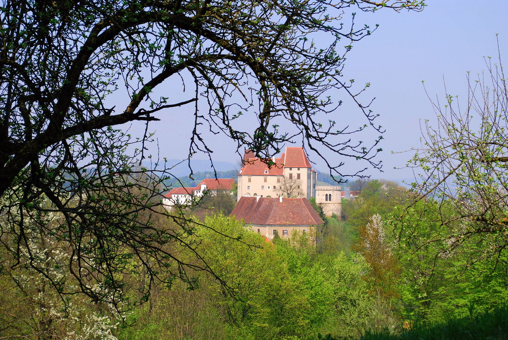 Frühling Leibnitzer Schloss Seggau