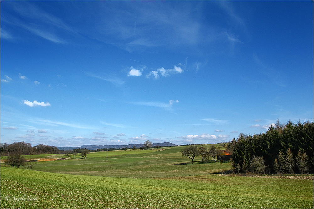 Frühling liegt in der Luft