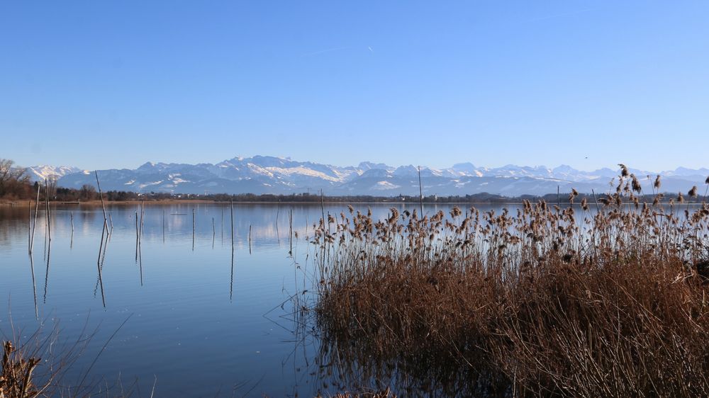 Frühling liegt in der Luft...