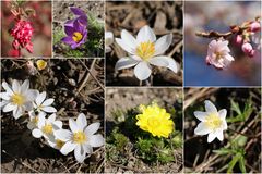 Frühling liegt in der Luft...