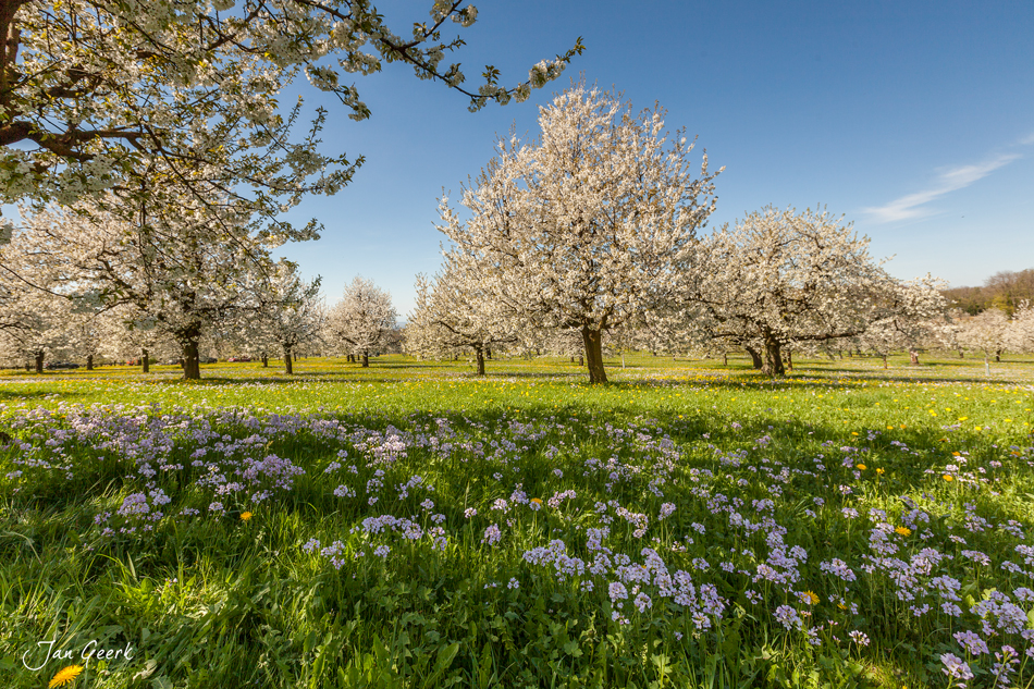 Frühling liegt in der Luft Foto & Bild | jahreszeiten, frühling, basel