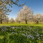 Frühling liegt in der Luft