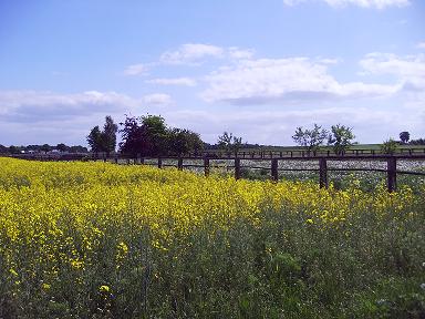 Frühling liegt in der Luft