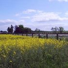 Frühling liegt in der Luft