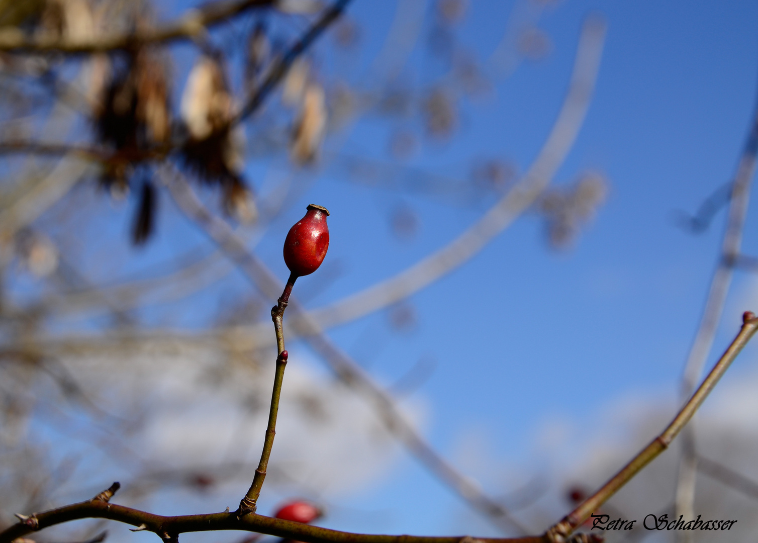 Frühling liegt in der Luft