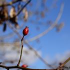 Frühling liegt in der Luft