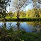 Frühling liegt in der Luft