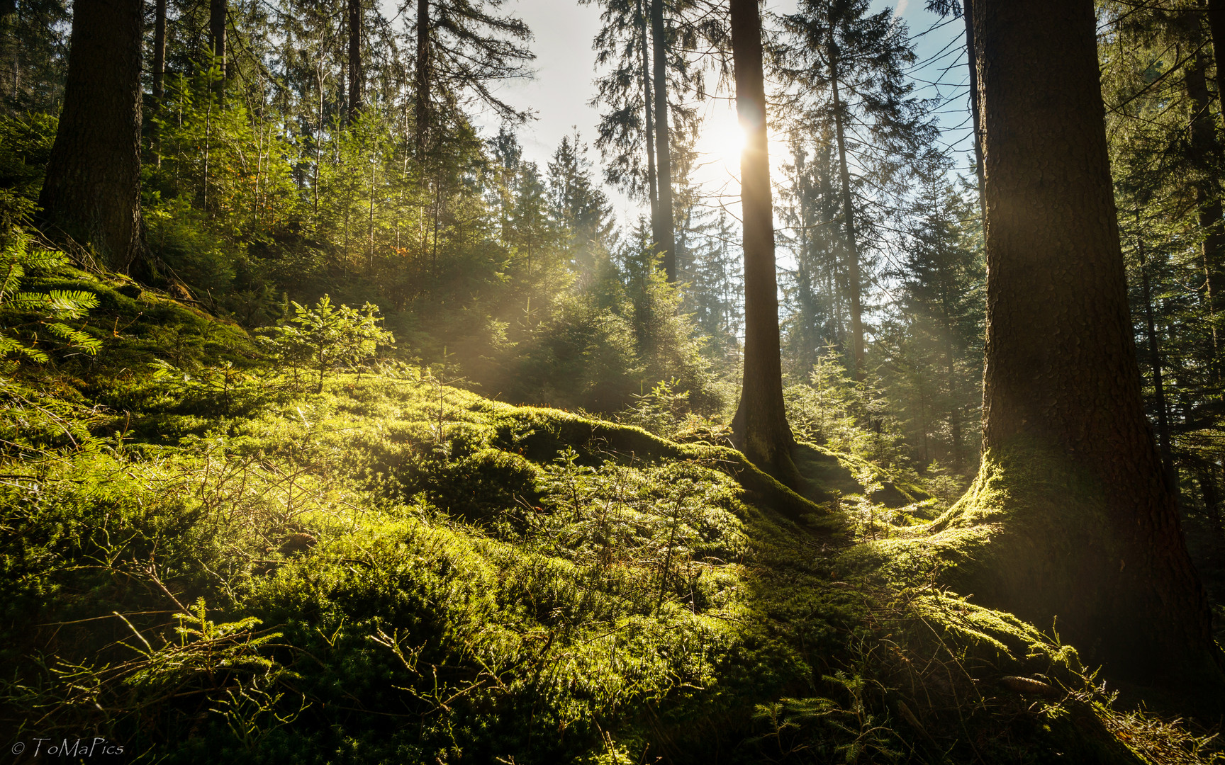 Frühling liegt in der Luft