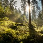 Frühling liegt in der Luft