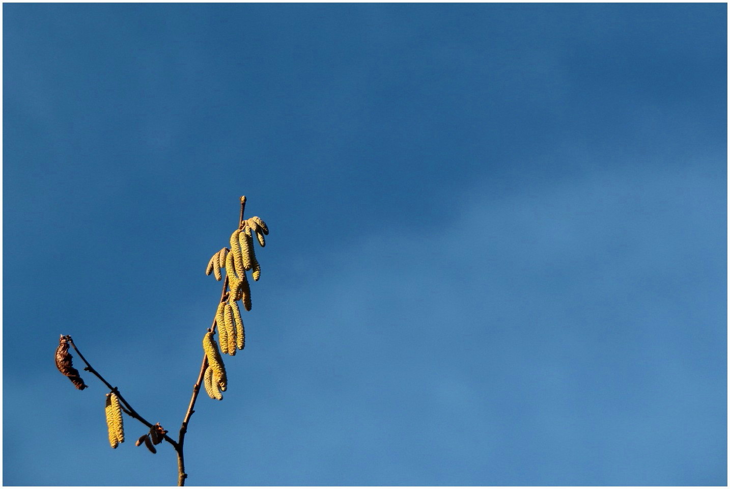 Frühling liegt in der Luft