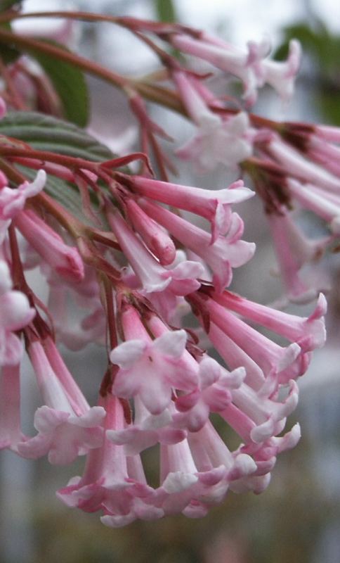 Frühling liegt in der Luft