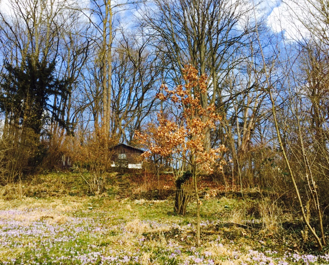 Frühling liegt in der Luft