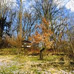 Frühling liegt in der Luft