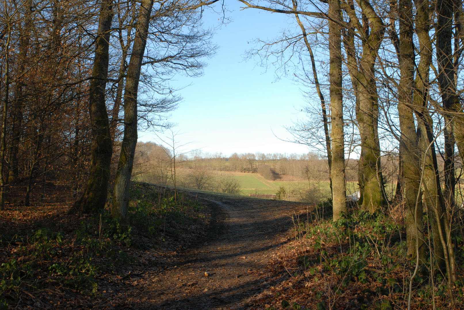 Frühling liegt in der Luft