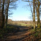 Frühling liegt in der Luft