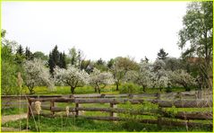 Frühling - mächtig prächtig