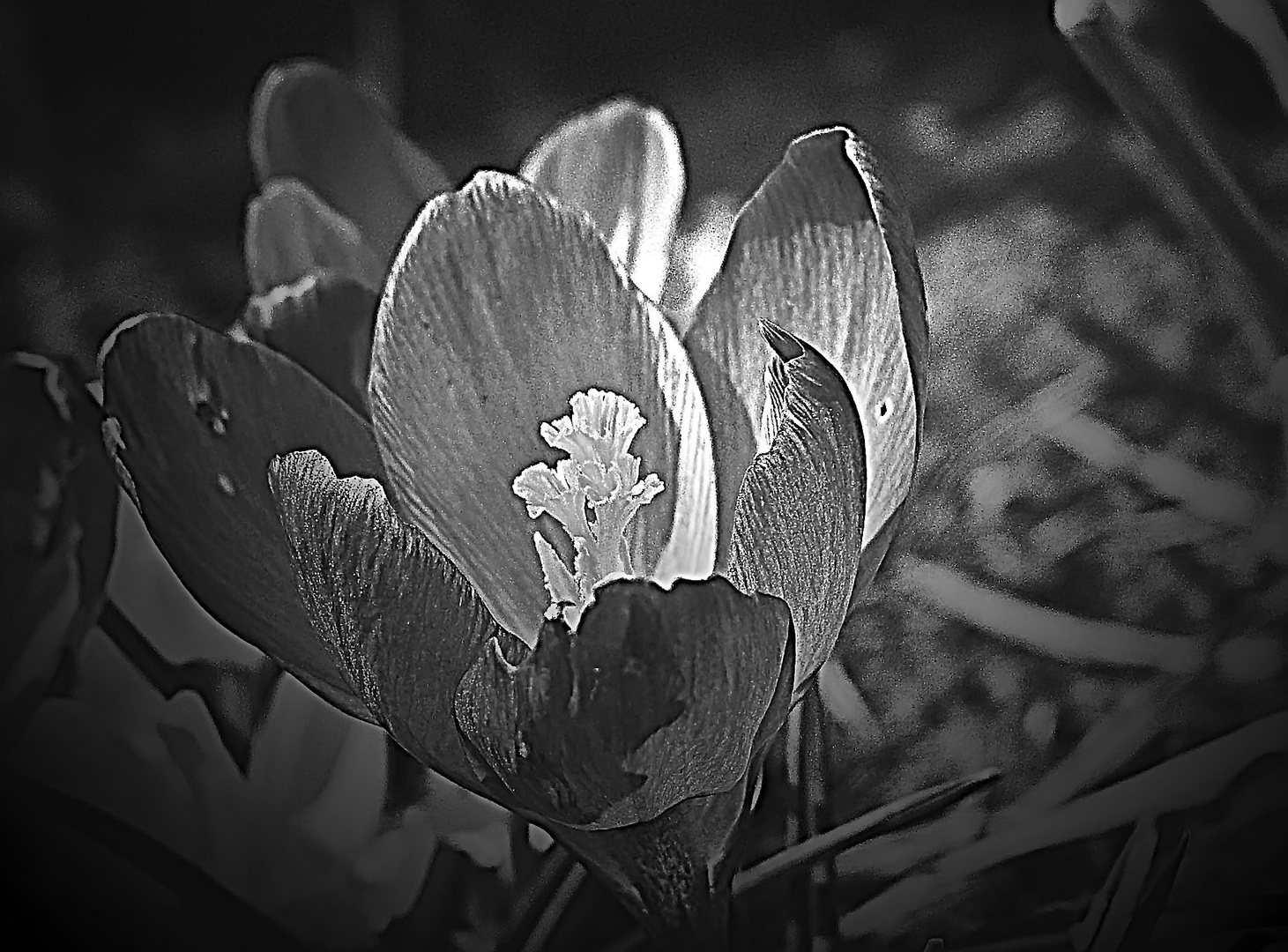 Frühling mal anders ....