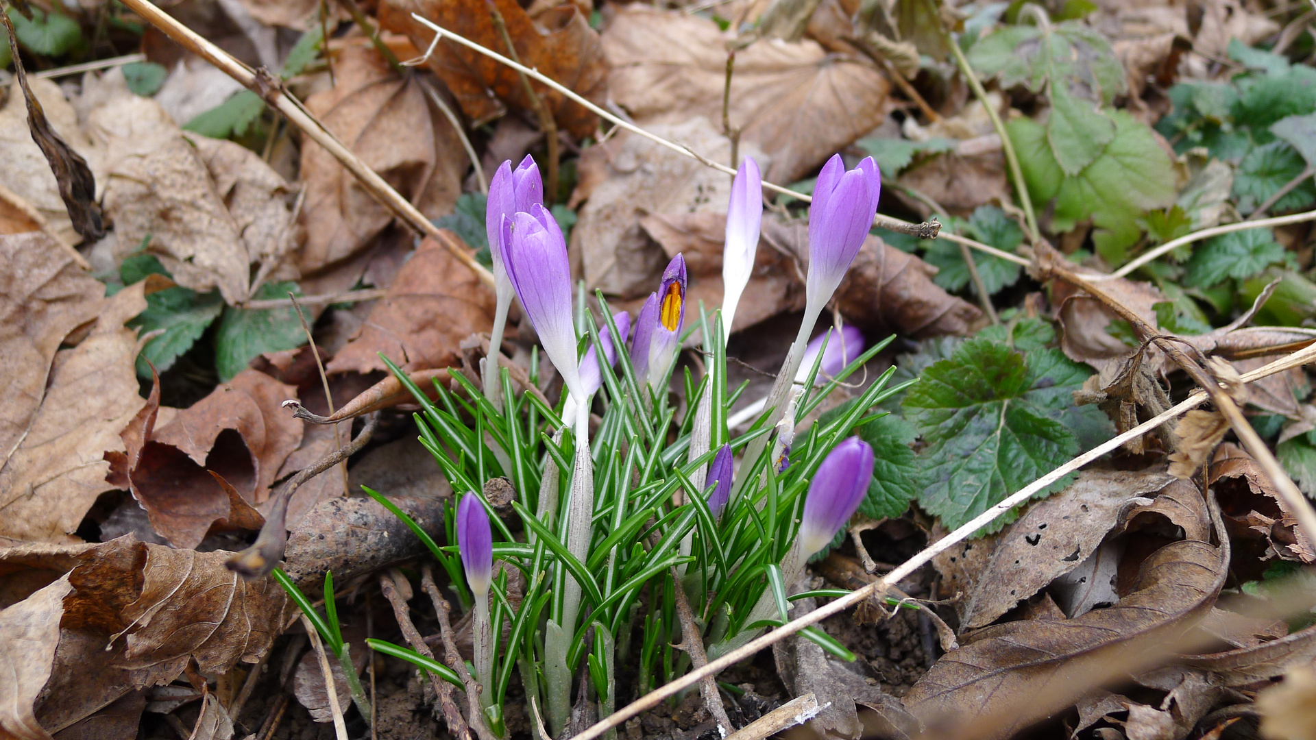 Frühling meets Herbst