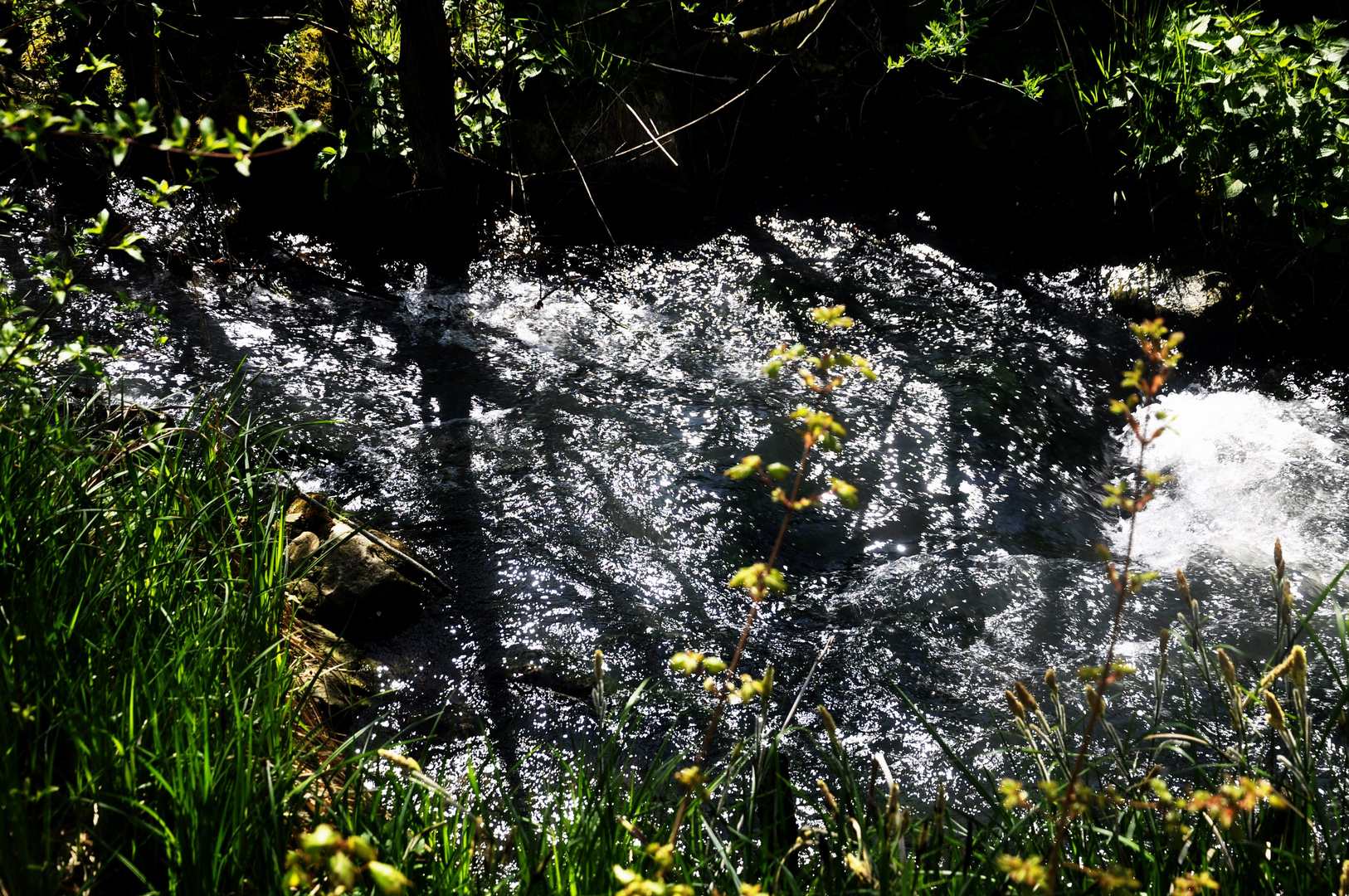 Frühling mit all seinen schönen Seiten