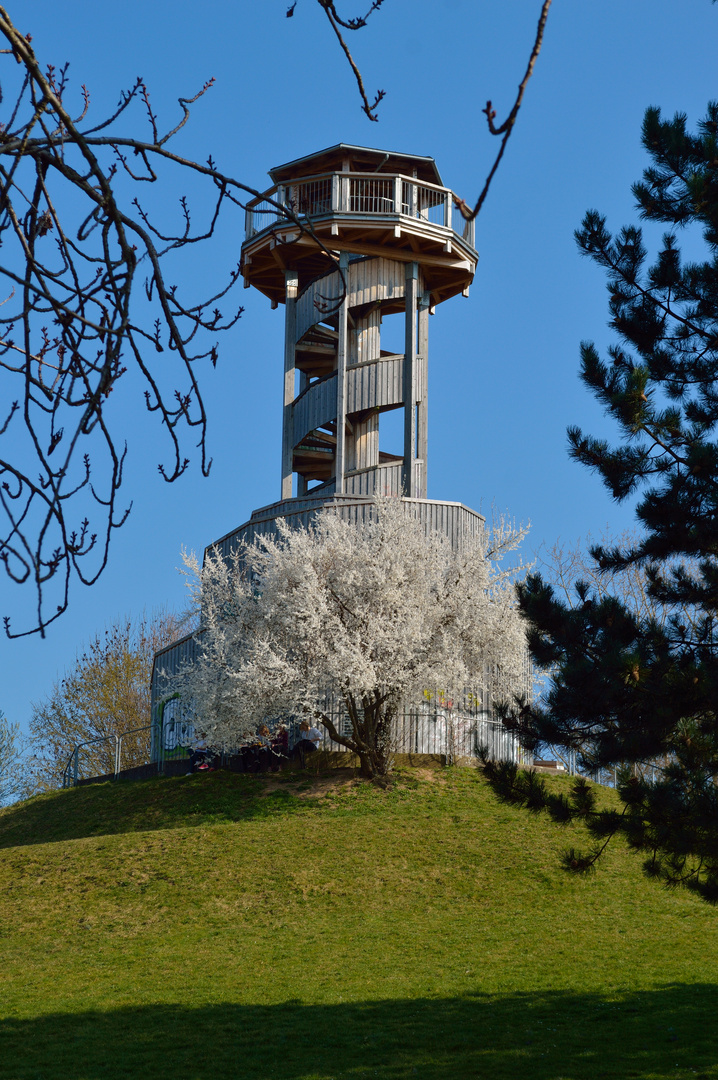 Frühling mit aussicht auf Sommer